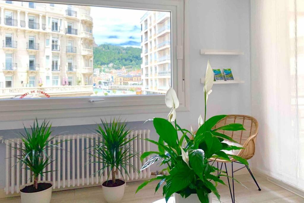 New Gorgeous Central Apartment - Beachfront - 3 Bd San Sebastián Dış mekan fotoğraf
